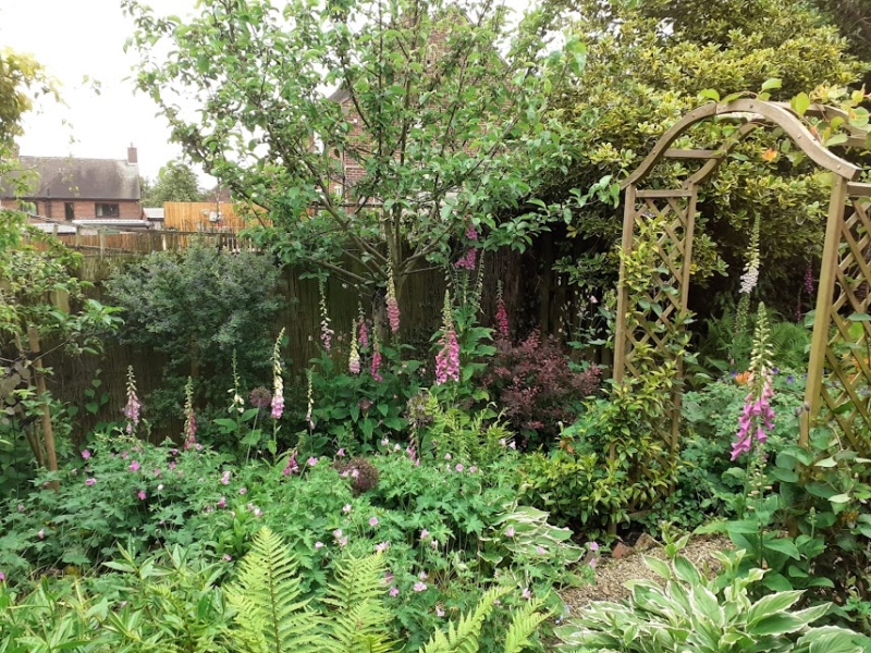 Ford Lodge